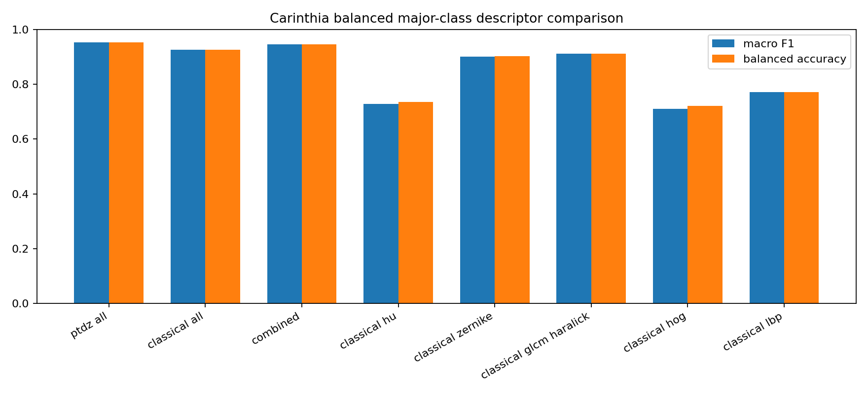 Carinthia descriptor comparison on one balanced major-class slice