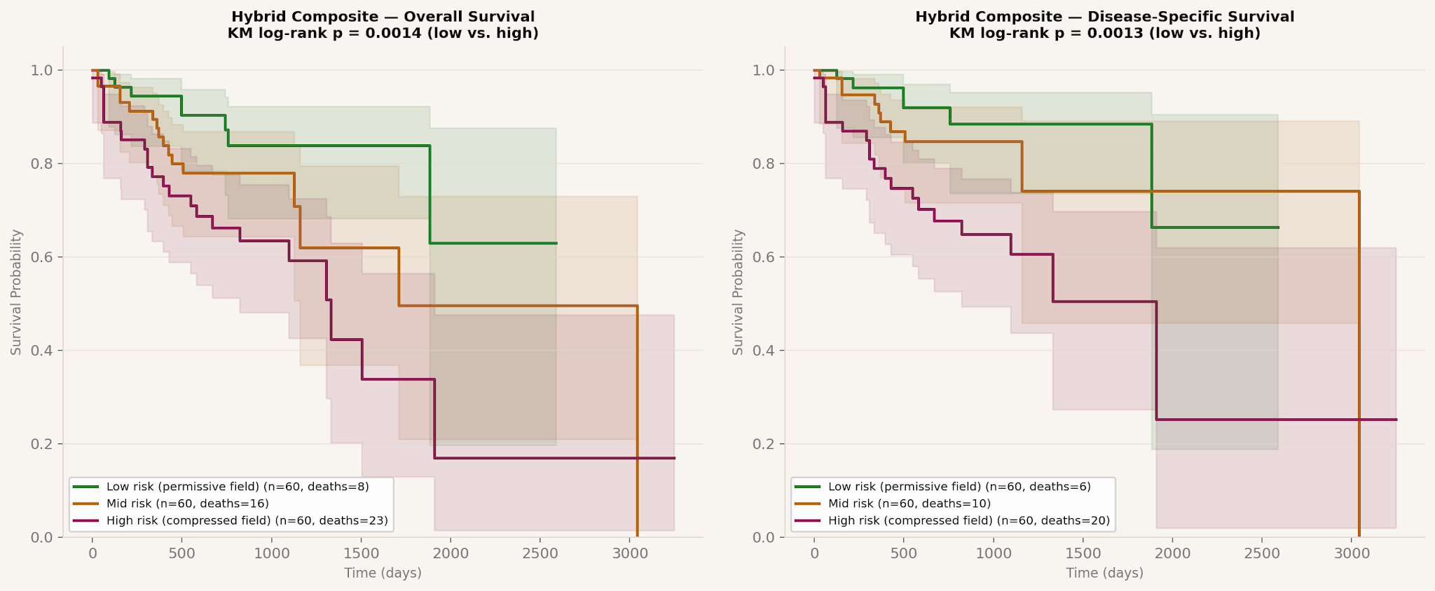 Kaplan-Meier survival curves by hybrid composite tertile