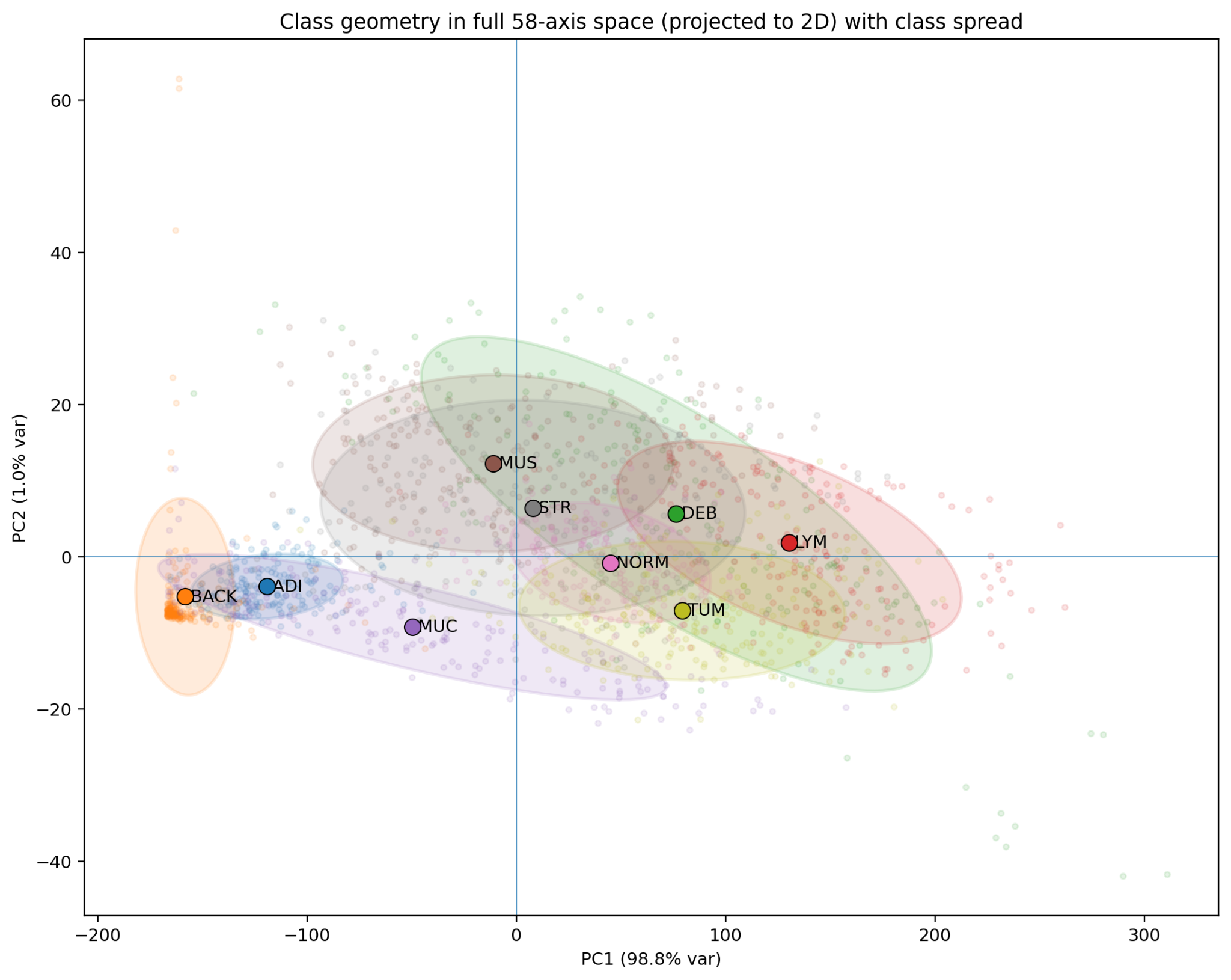 Class geometry in full 58-axis space