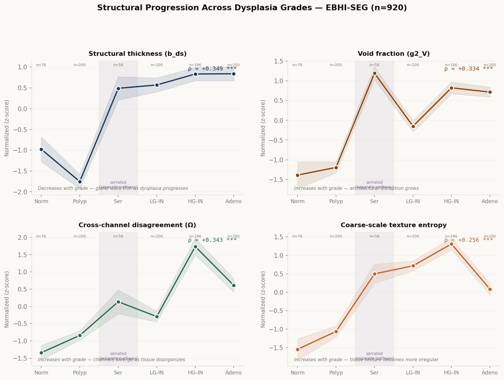 Z-scored per-class means for four key structural axes