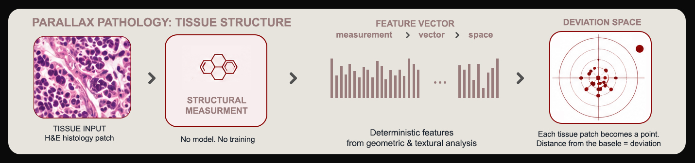 Pathology Kernel measurement pipeline
