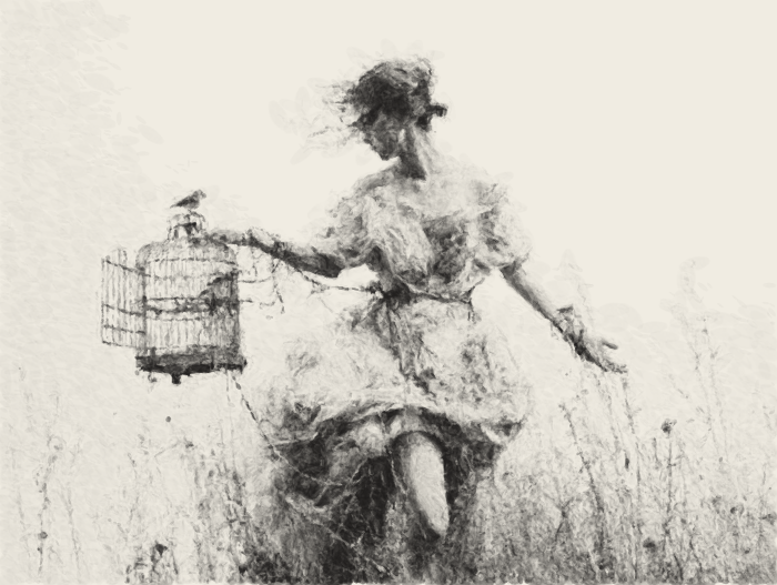 O01 · observational redraw