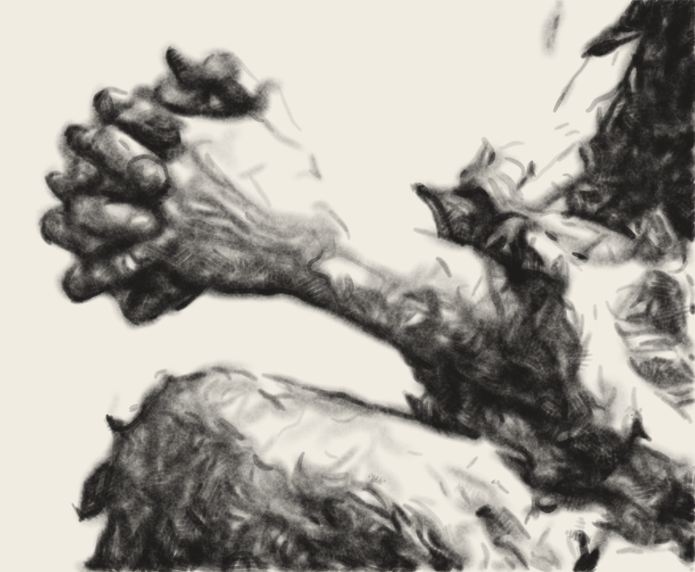 Hands drawing with crop as full working image